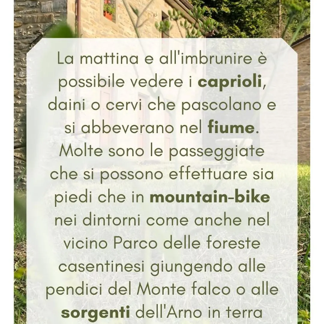 L'Antico Mulino Sul Fiume, Forli-Cesena Apartment Corniolo  0*, Corniolo (Emilia-Romagna) Italy